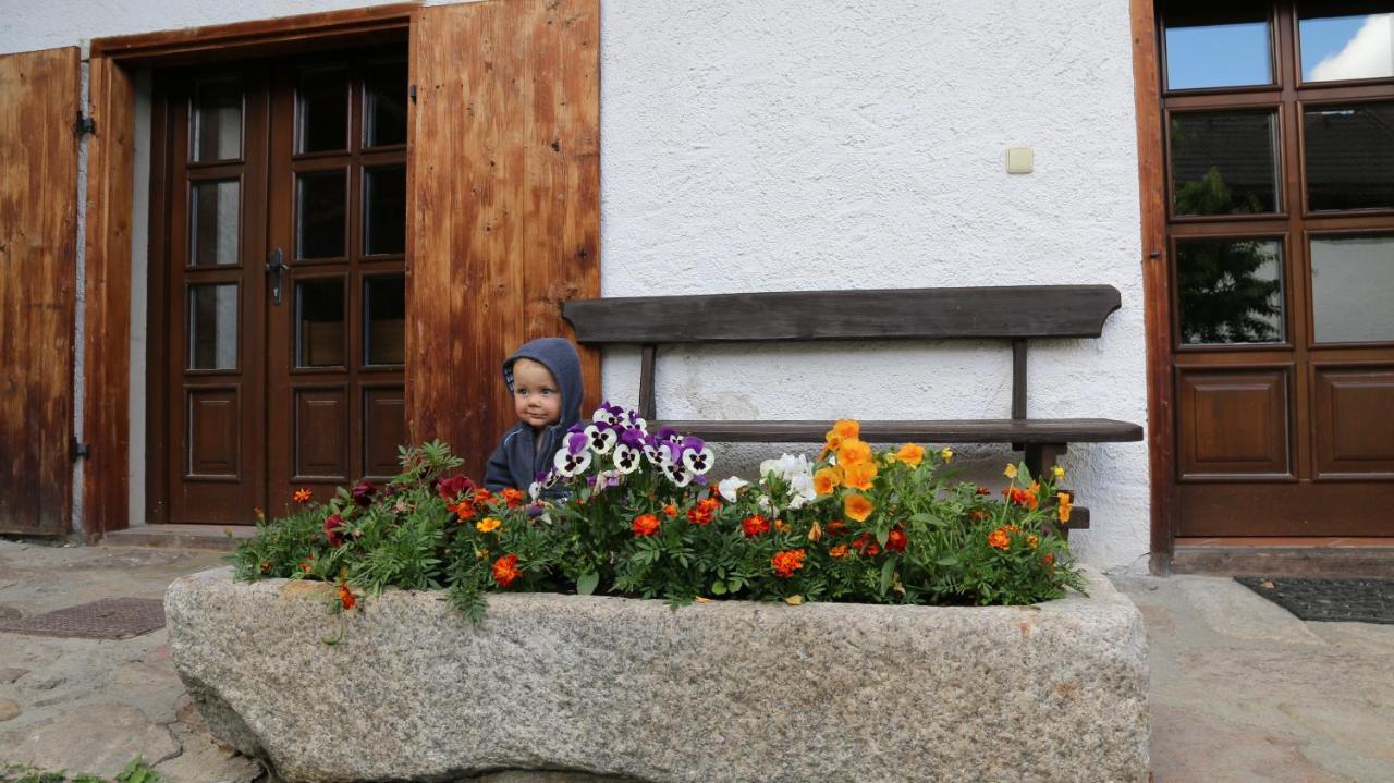 Penzion Mauritz Nová Pec Esterno foto